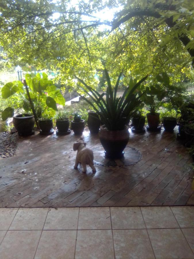 Privatunterkunft Casablanca Nairobi